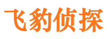 墨竹工卡外遇出轨调查取证